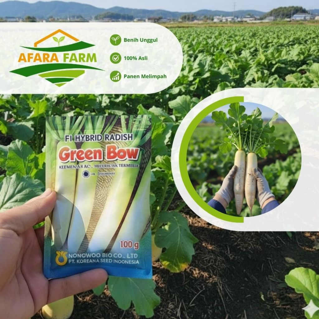 Benih Lobak Putih Green Bow F1 Hybrid Radish Original Koreana Seed Indonesia Kemasan 100gr