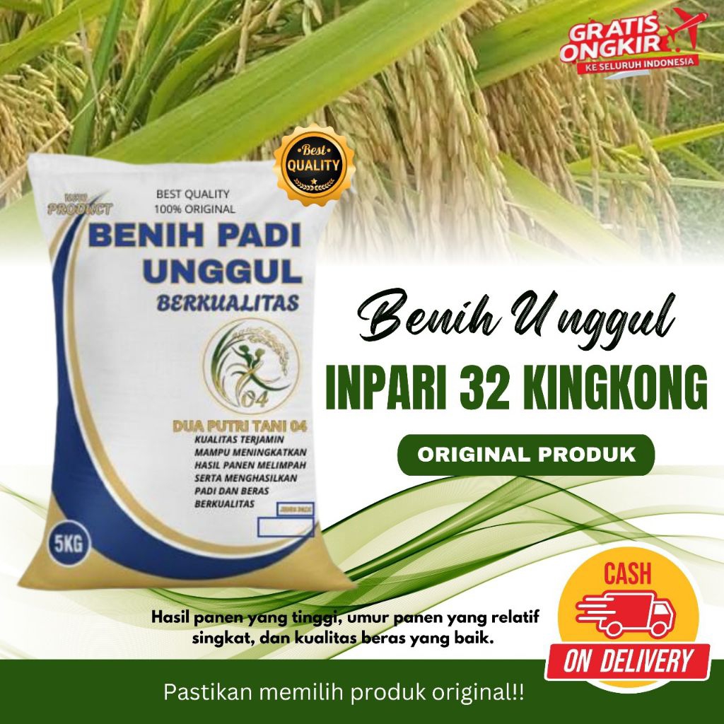 Benih Padi Unggul PREMIUM INPARI 32 KINGKONG Kemasan 5kg