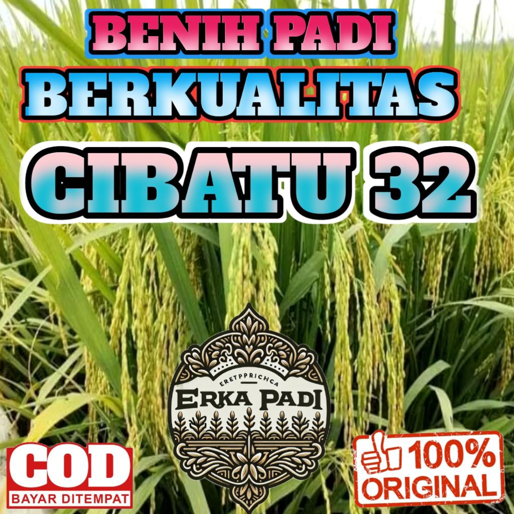 BENIH PADI CIBATU 32 BERKUALITAS ORIGINAL KEMASAN 5KG