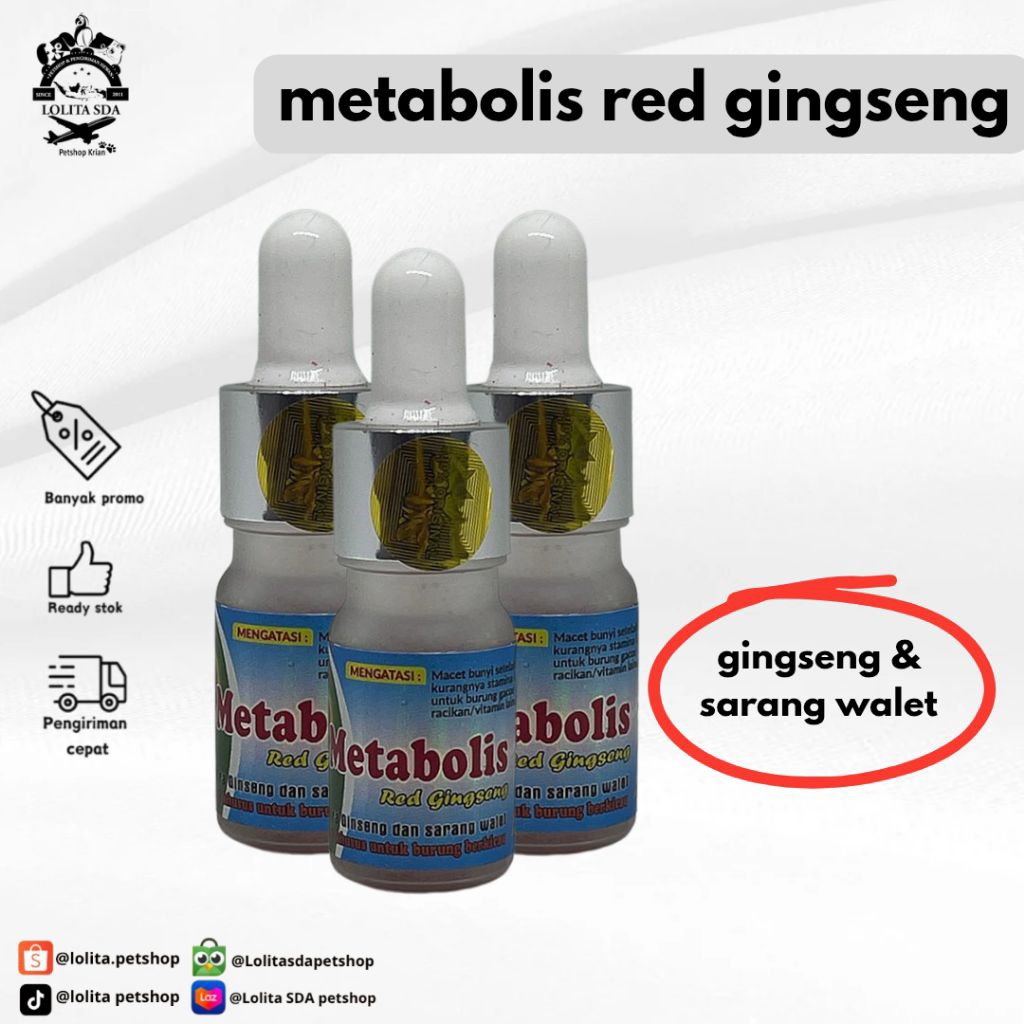 metabolis red gingseng untuk burung