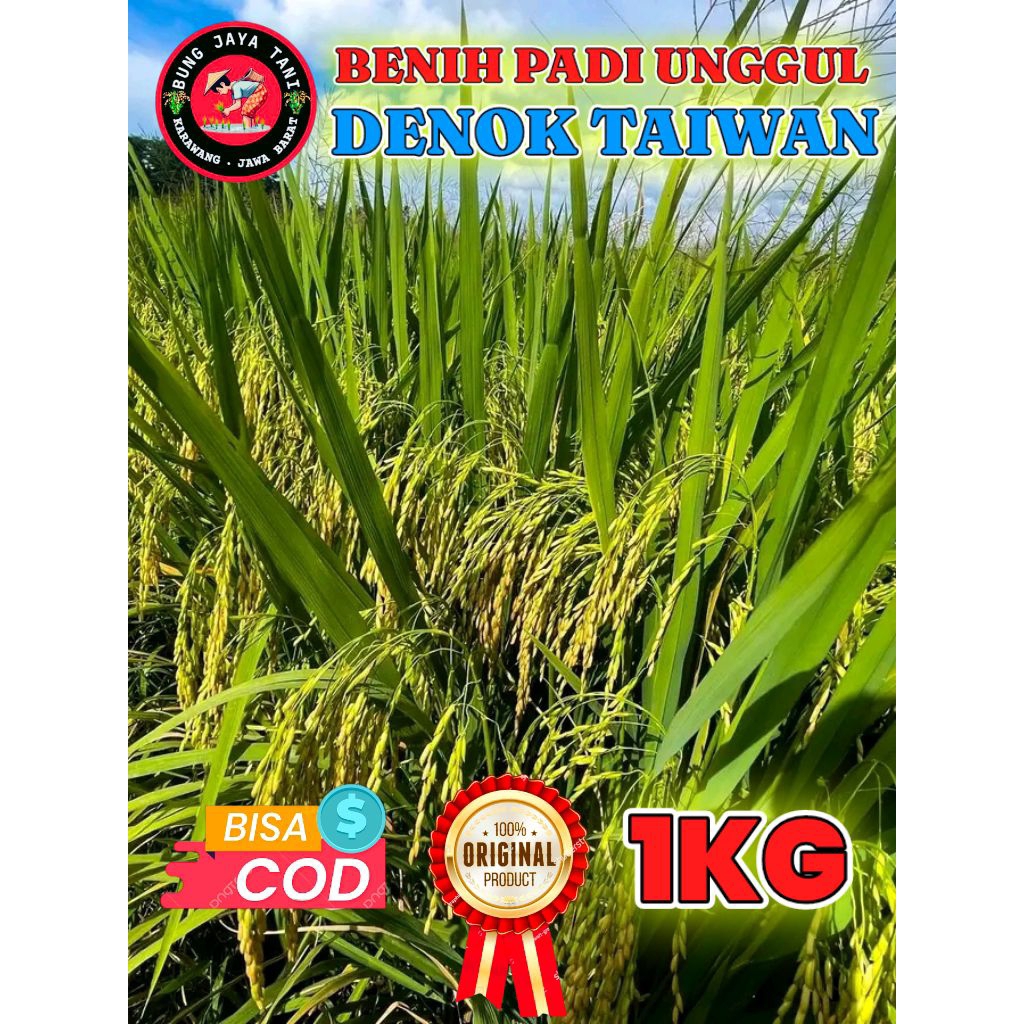 BENIH PADI BERKUALITAS DENOK TAIWAN KEMASAN 1KG