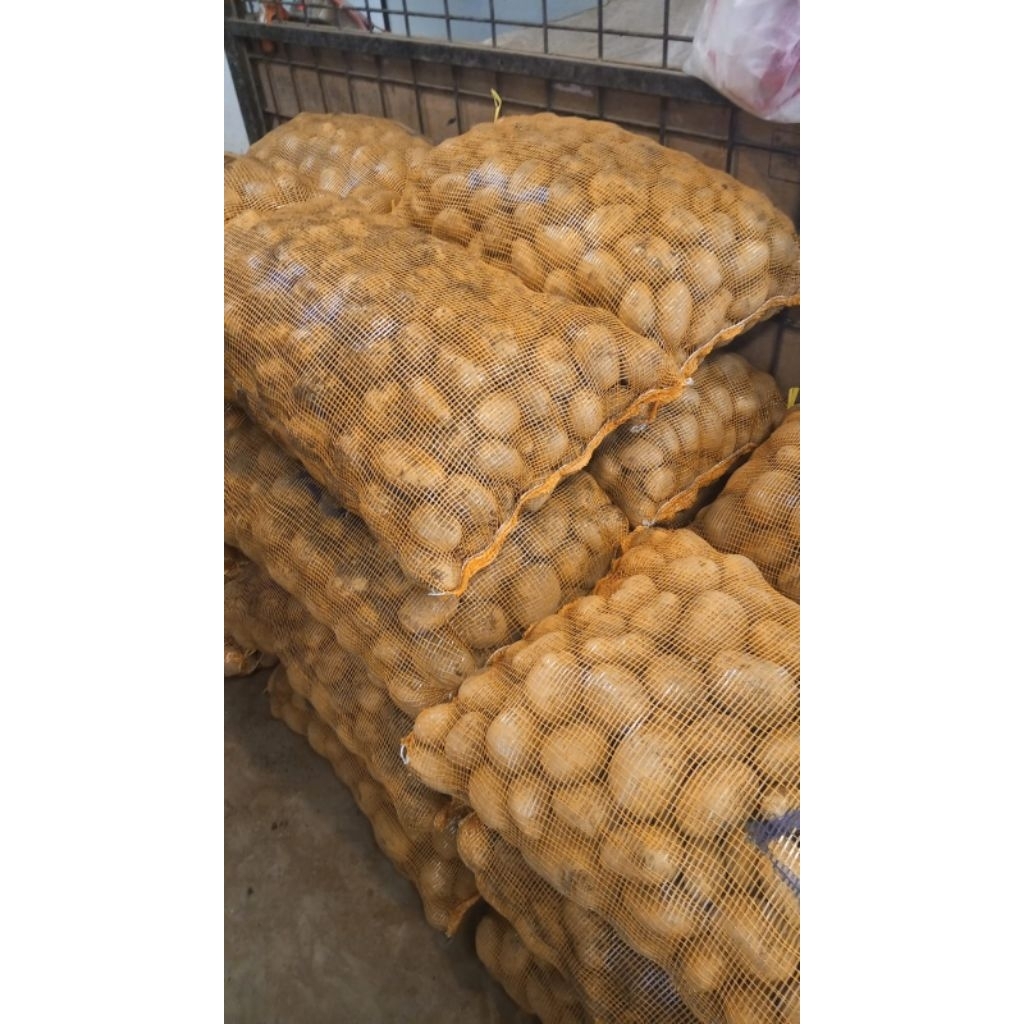 Kentang Segar 1kg - Kentang Fresh 1 kg