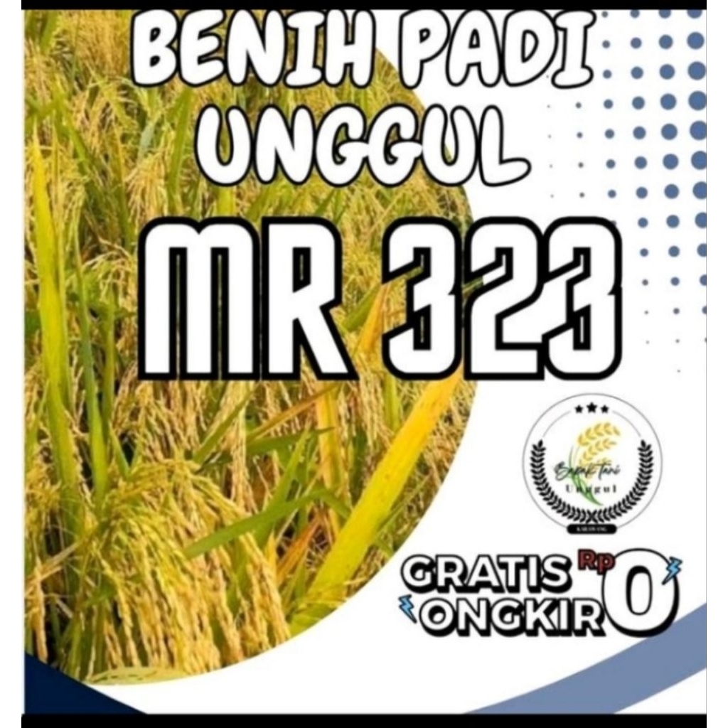 Benih padi MR 323 ORIGINAL netto 1kg