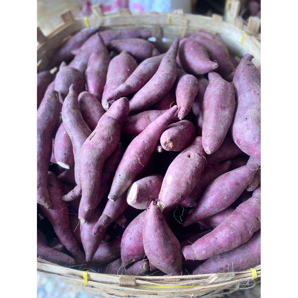Ubi ungu murasaki ,manis legit (ukuran besar)