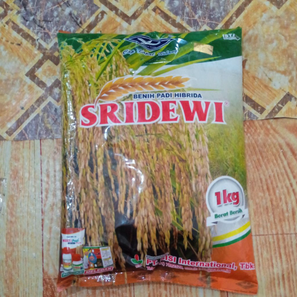 Sridewi Benih Padi Hibrida F1 Cap Kapal Terbang