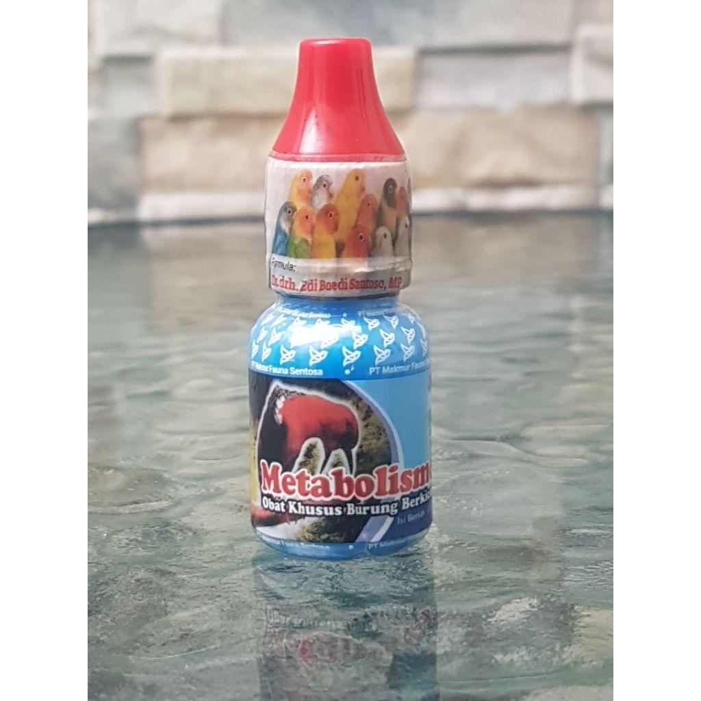 METABOLIS  dr drh Edi Boedi Santosa MP