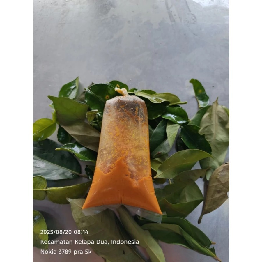 INSTAN Bumbu Giling Ungkep Ayam/ikan