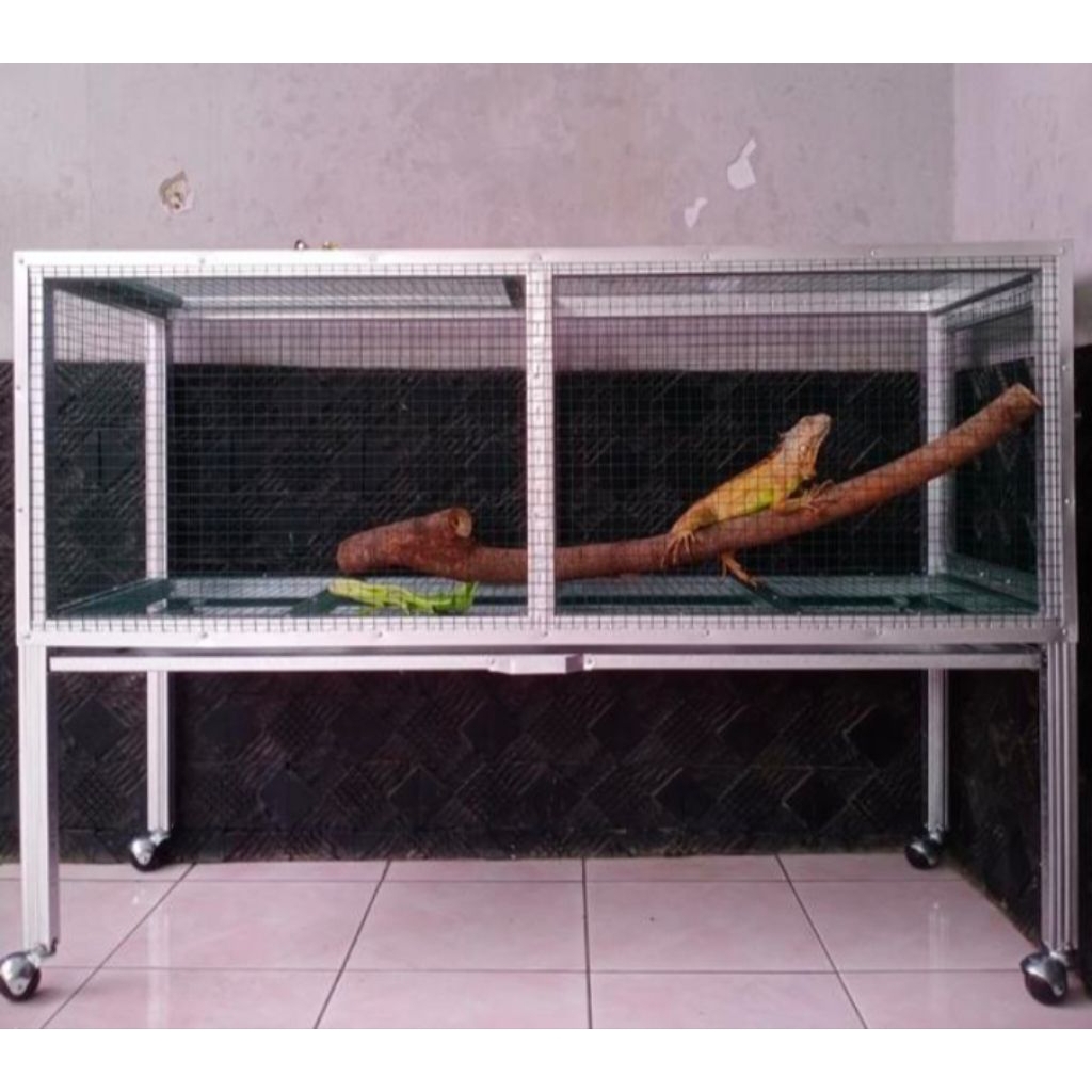 Kandang reptile iguana