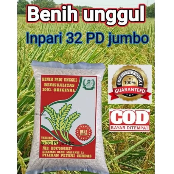 Bibit Benih Padi Inpari 32 PD jumbo Berkualitas Super Kemasan 5Kg