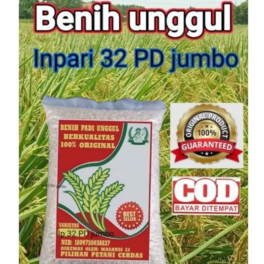 Bibit Benih Padi Inpari 32 PD jumbo Berkualitas Super Kemasan 5Kg