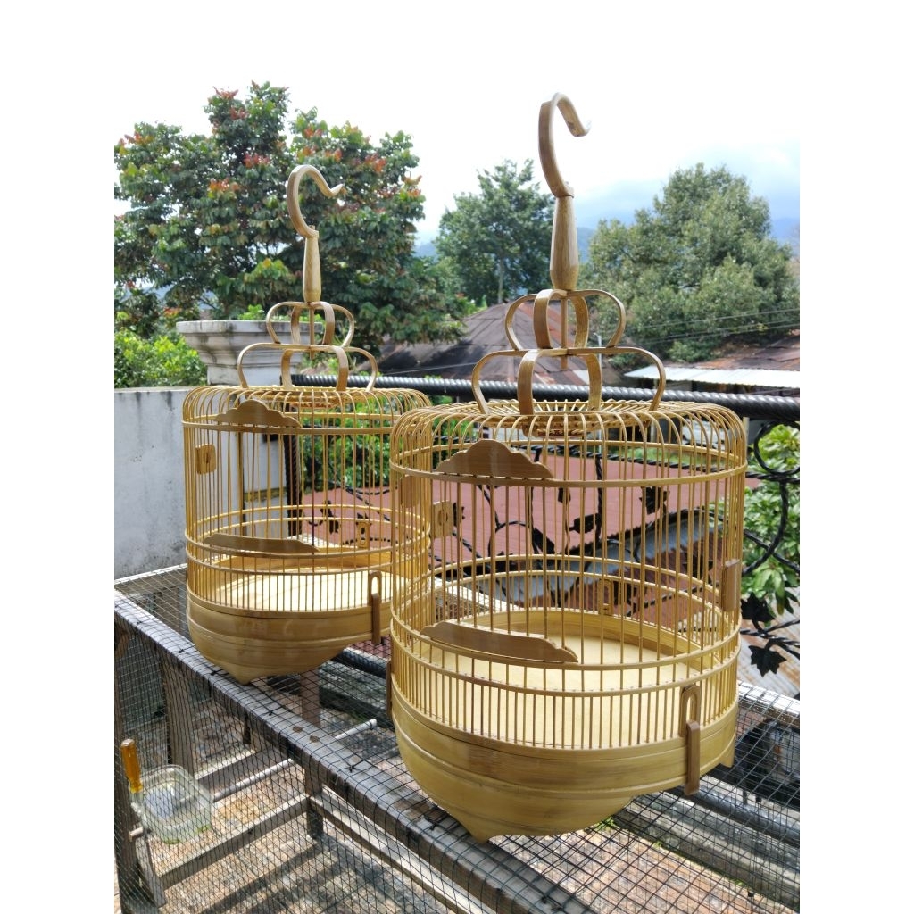 sangkar cungkok bambu