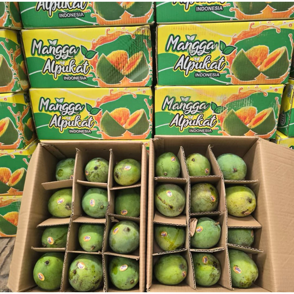 MANGGA ALPUKAT 5kg