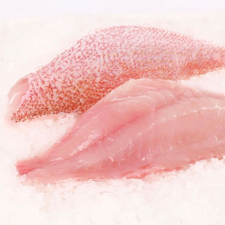 Ikan Kakap Merah 1Kg Ikan Kakap Merah Segar Kakap Merah Fillet Kakap Merah Daging Ikan Kakap Merah S