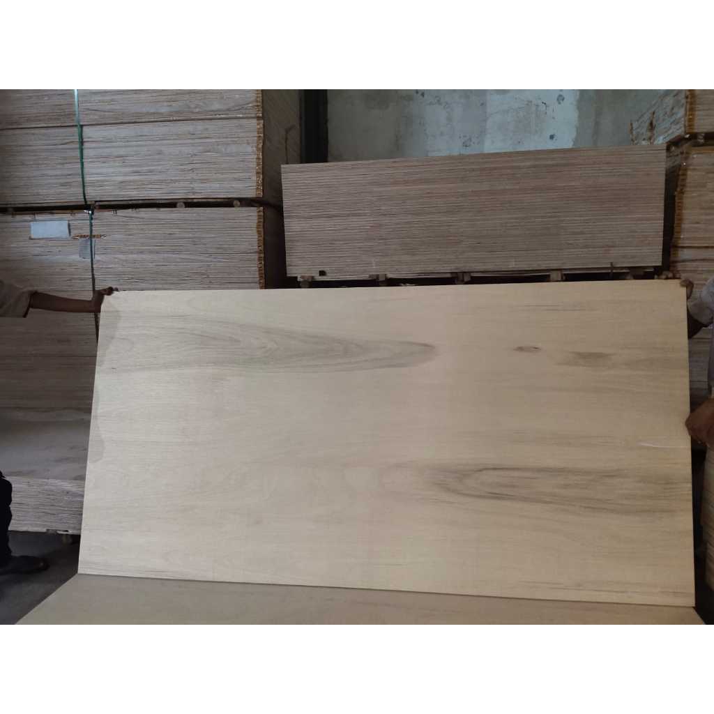 Triplek MC Meranti Campur Alba Tebal 5 MM, 18 MM | Multiplek Plywood 5mm, 18mm (HARAP BACA DESKRIPSI