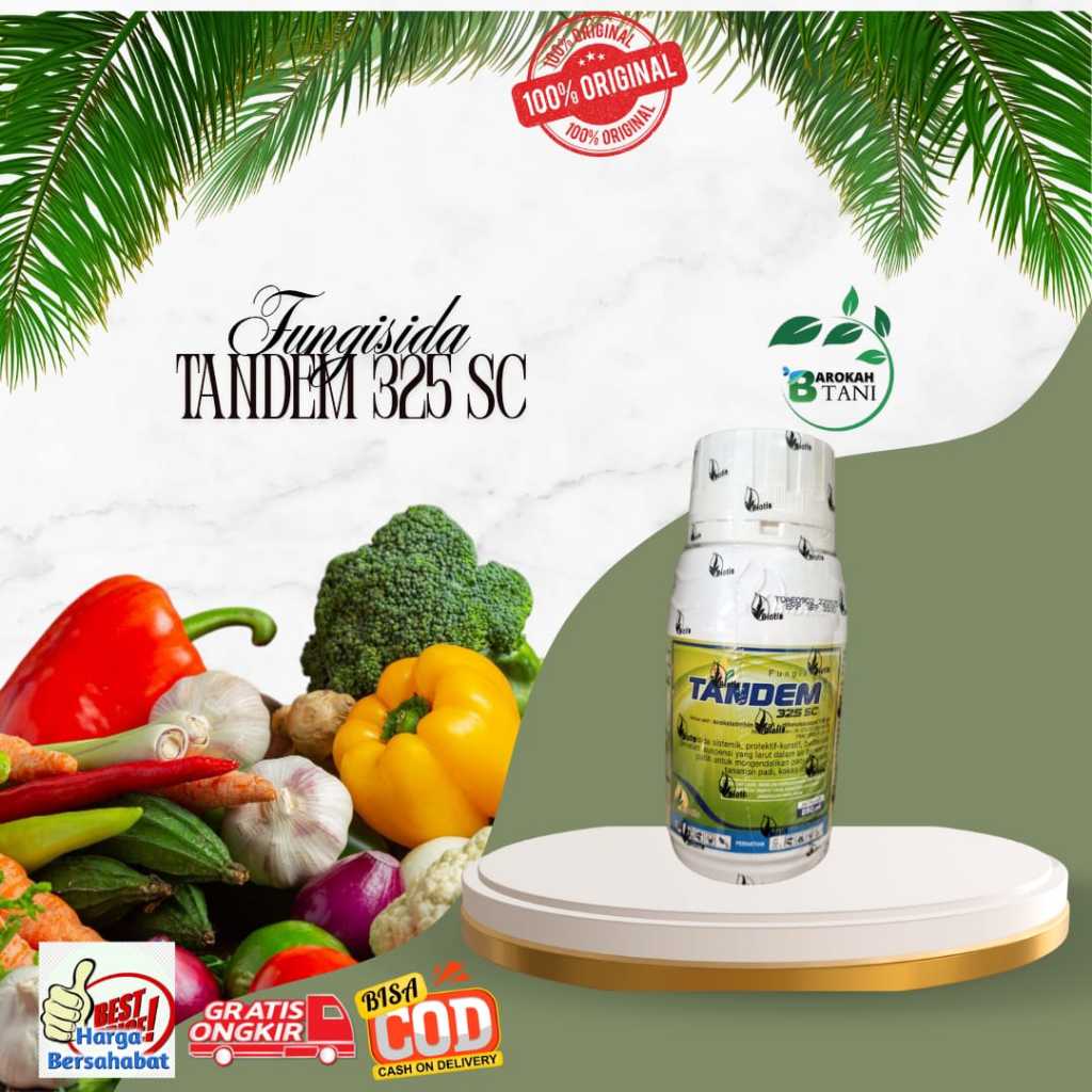 Fungisida TANDEM 325 SC Isi 250ml Bahan Aktif  azoksistrobin 200 g/l + difenokonazol 125 g/l