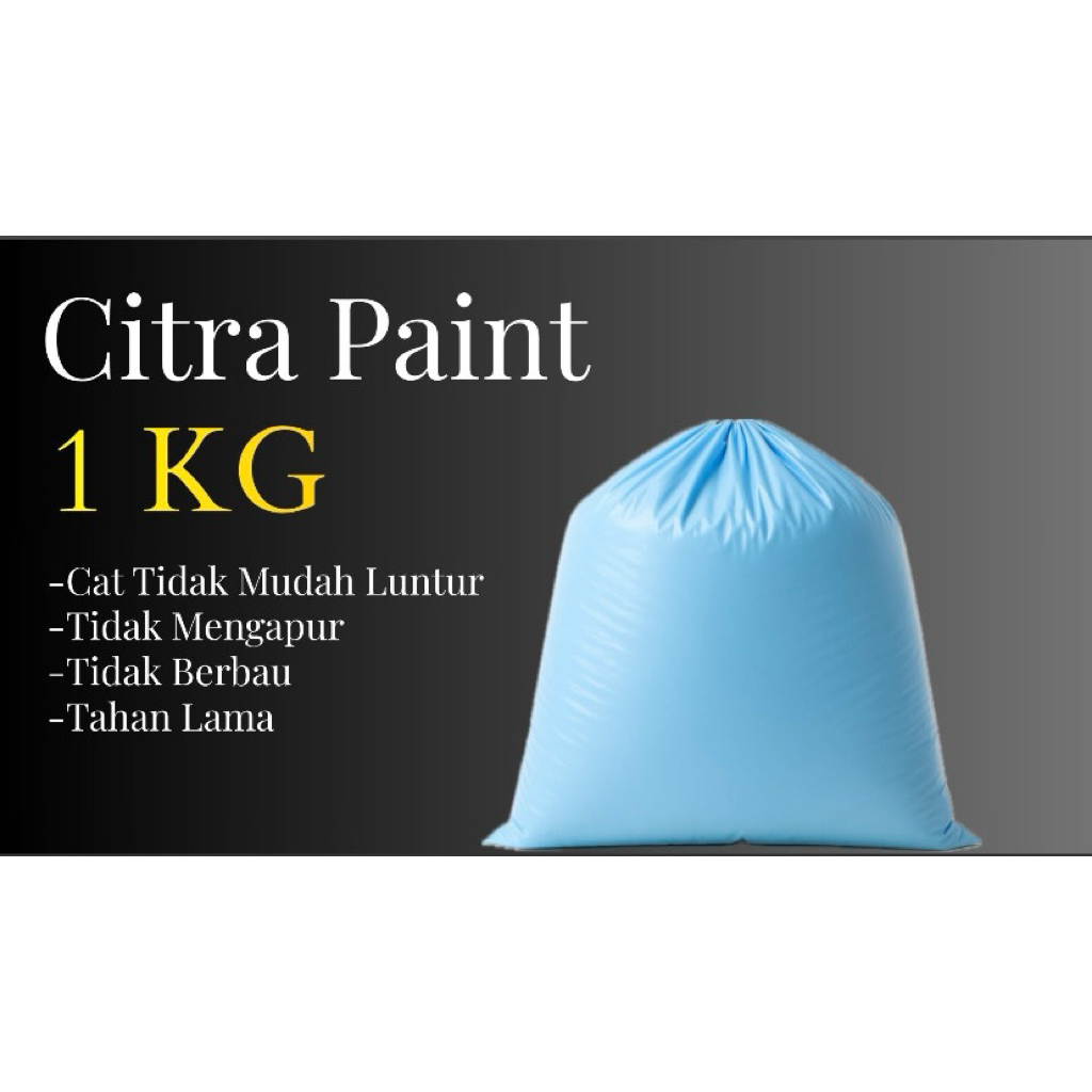 Cet Tembok 1KG - Citra Paint