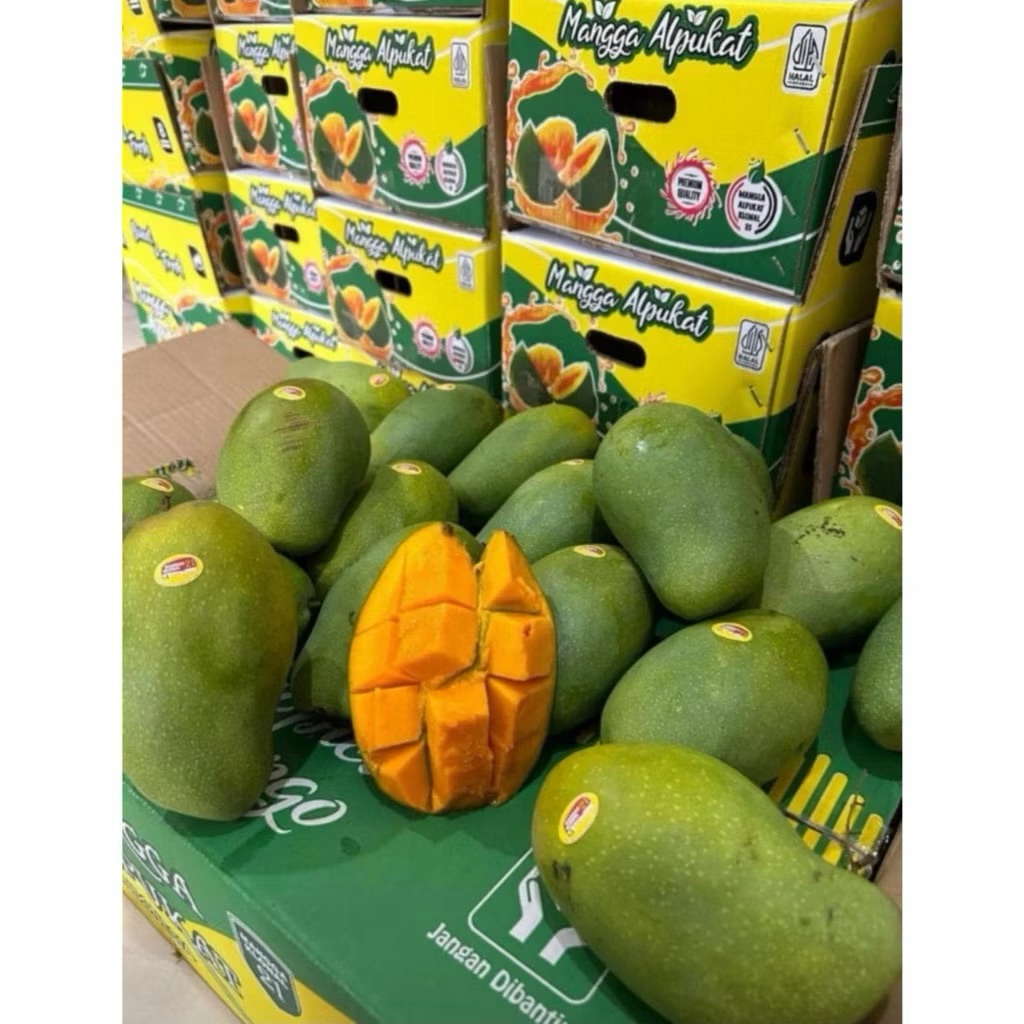MANGGA ALPUKAT 1 DUS 5KG
