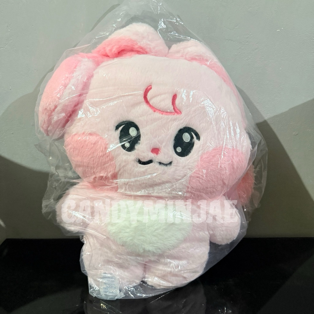 [BACA DESKRIPSI] READY INA MD BIG FLAT CUSHION KKYUPING 40CM DOLL BONEKA NCT DREAM X LINE FRIENDS DR