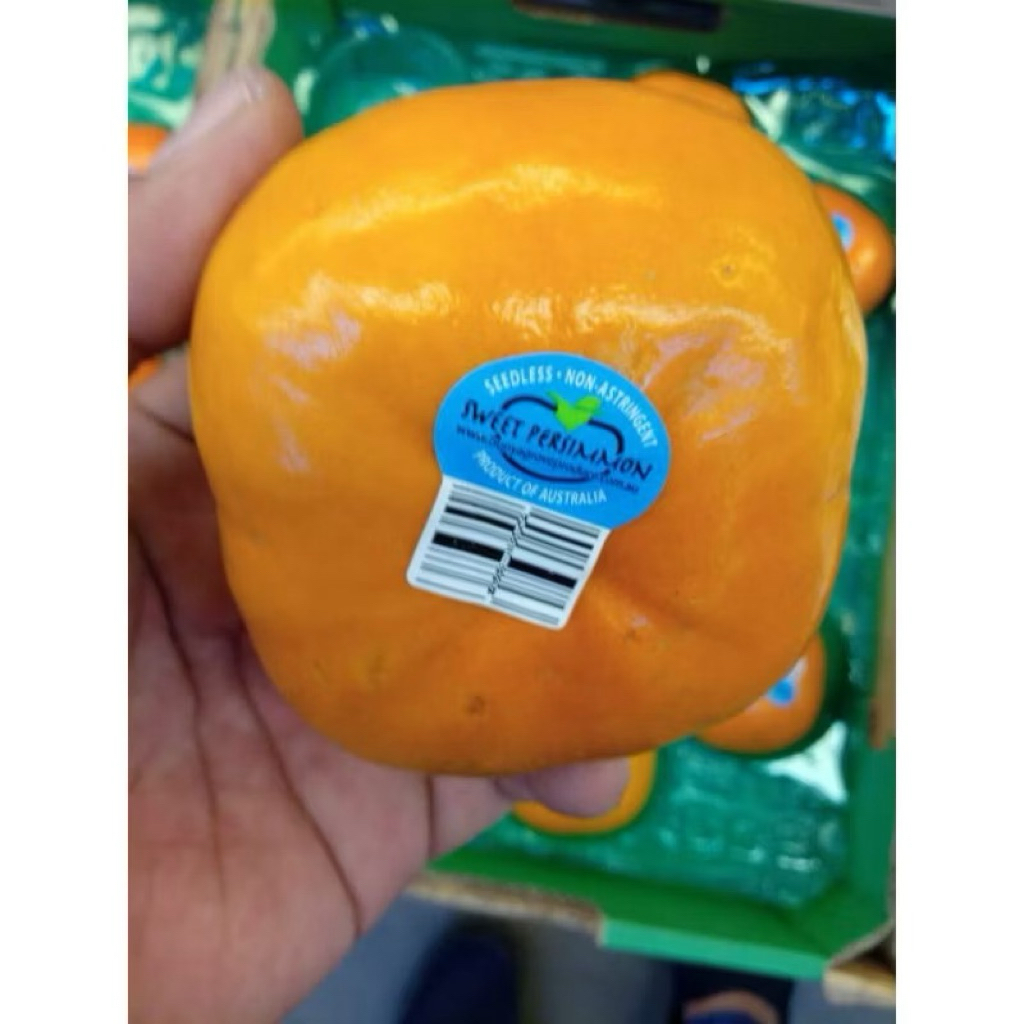 Persimmon import New Zealand / buah kesemek manis 1  kg