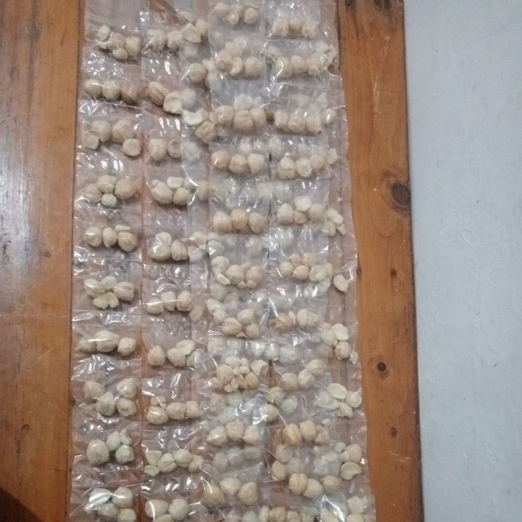 bumbu dapur kemiri,satu renceng isi 10 pcs