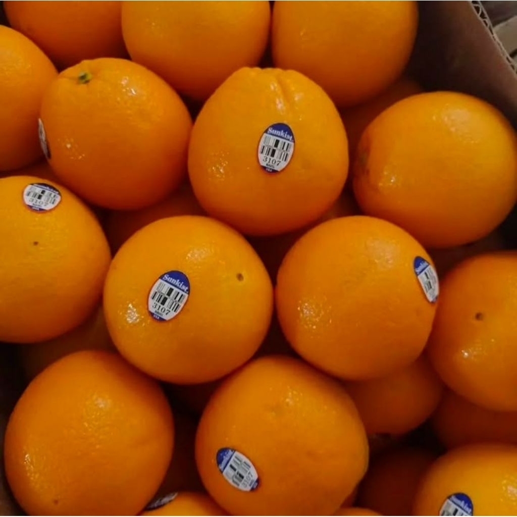 Jeruk Sunkist Navel