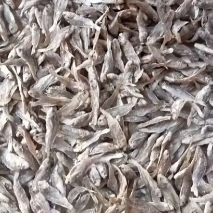 Anak ikan (cu) 300 gram