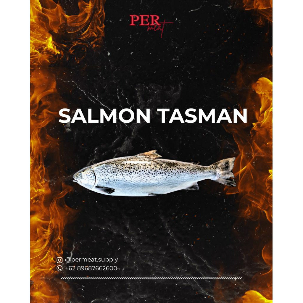 Salmon Tasman Whole fish | Ikan Salmon Tasman Utuh