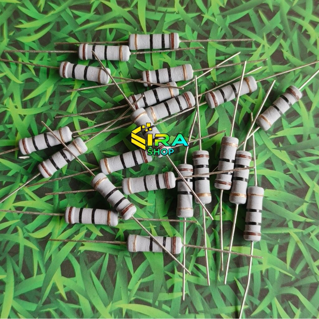 Resistor 10 Ohm 2 Watt