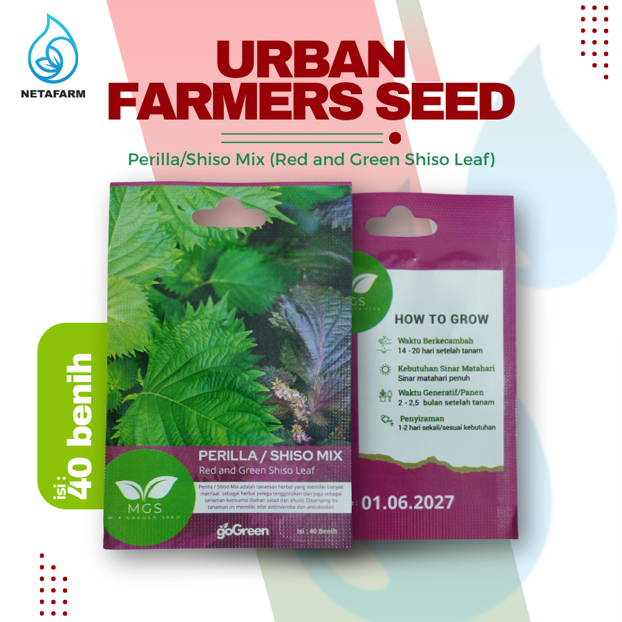 Benih Biji Bibit Perilla/Shiso Leaf Mix Garden Seed - 1pcs