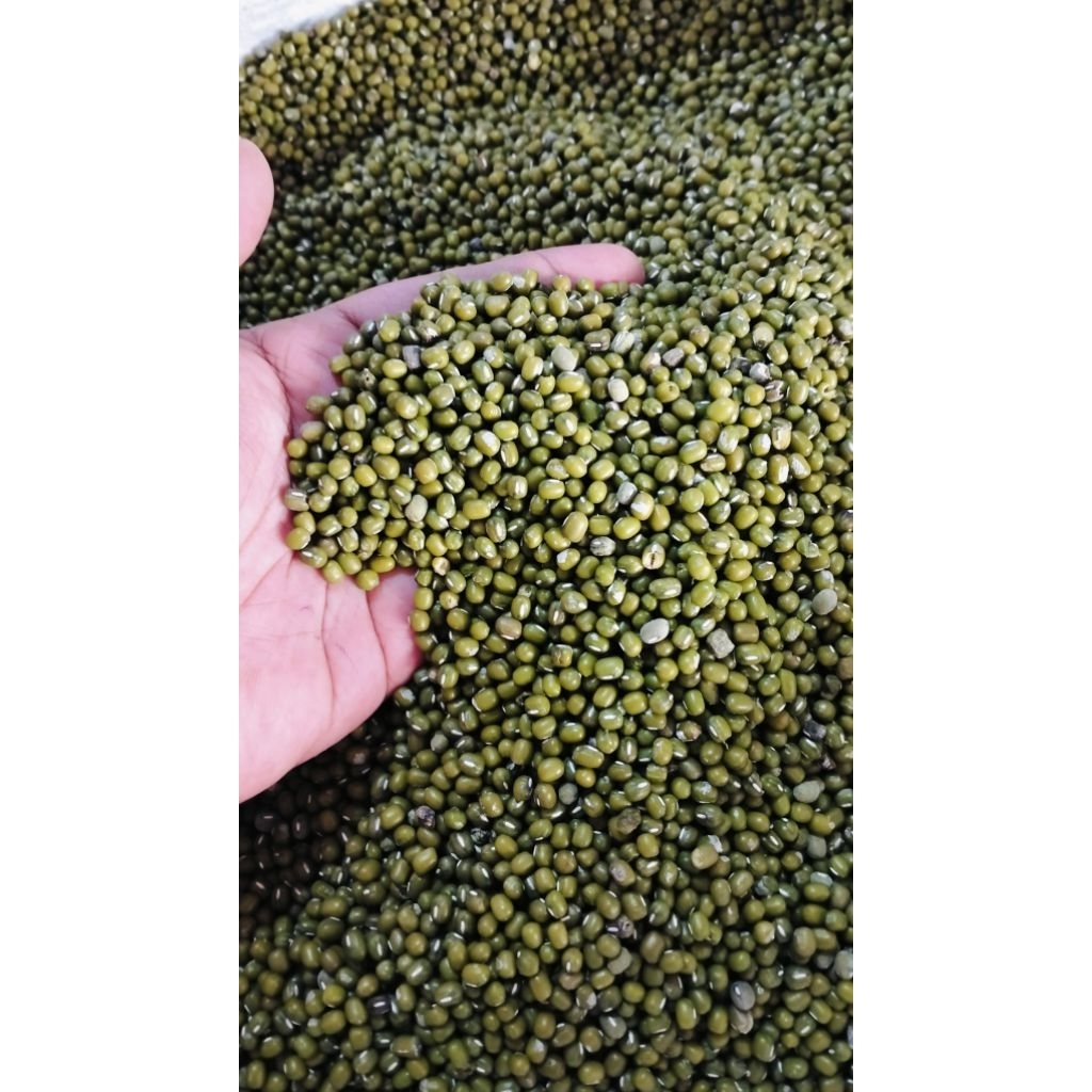 KACANG HIJAU 1kg
