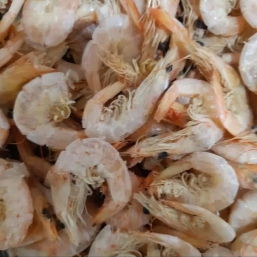 Udang Manis Medan Belum Bersih (Masih Ada Kepala) Fresh Khas Medan 500 gr