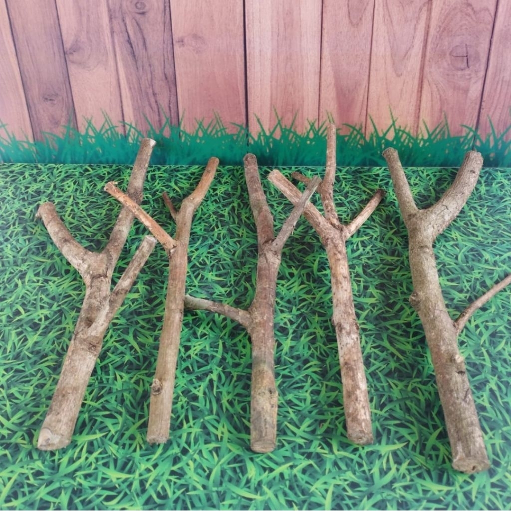 ranting kayu kering/ ranting kayu bercabang 25cm