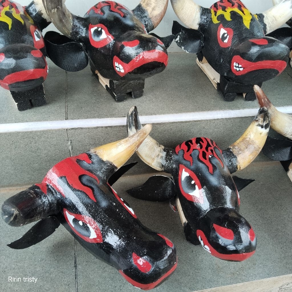 Banteng anak sungu asli/banteng mberot