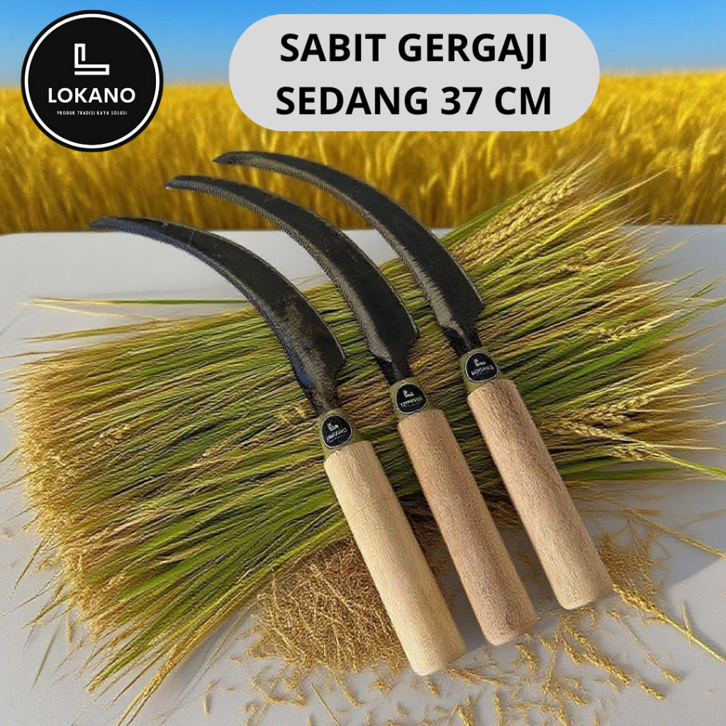 Alat Panen Padi Arit Sabit Gergaji Ukuran Sedang 37 cm Lokano