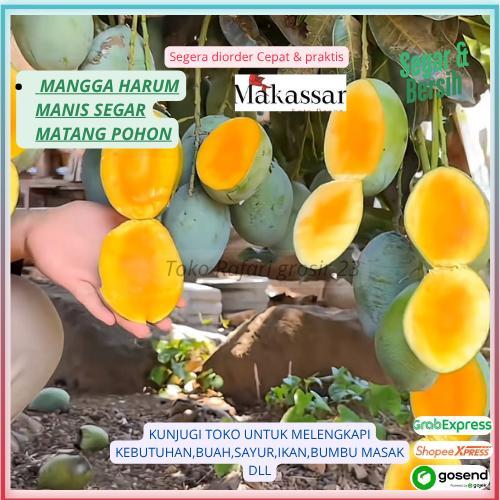 mangga harum manis 1 KG Lebih Dikit buah mangga harum manis mangga harum manis segar mangga harum ma