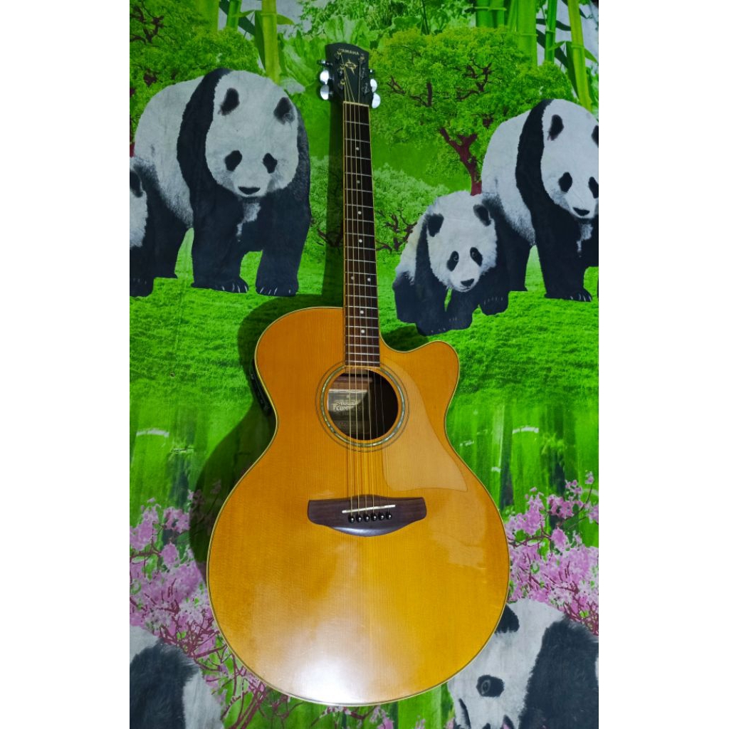 Gitar Yamaha CPX500II Original Murah Istimewah