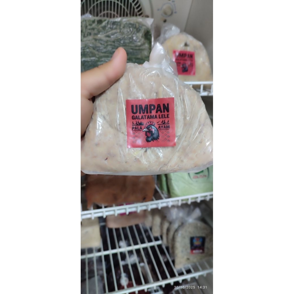 umpan galatama lele pala ayam