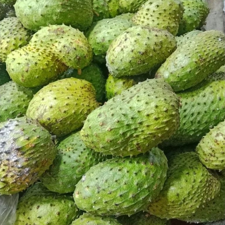 Buah Sirsak Matang Segar per Kilo  - Pasar Makassar