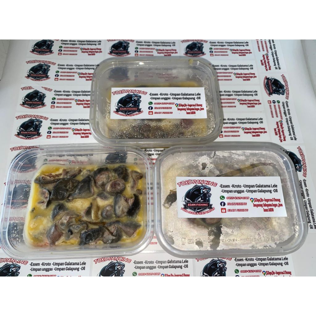 Tiseng/Tikus Oseng Edan Fishing