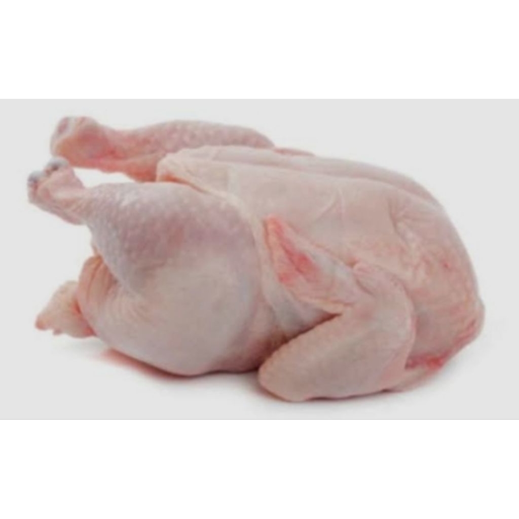 Ayam Fresh broiler Ukuran 1.2 Kg