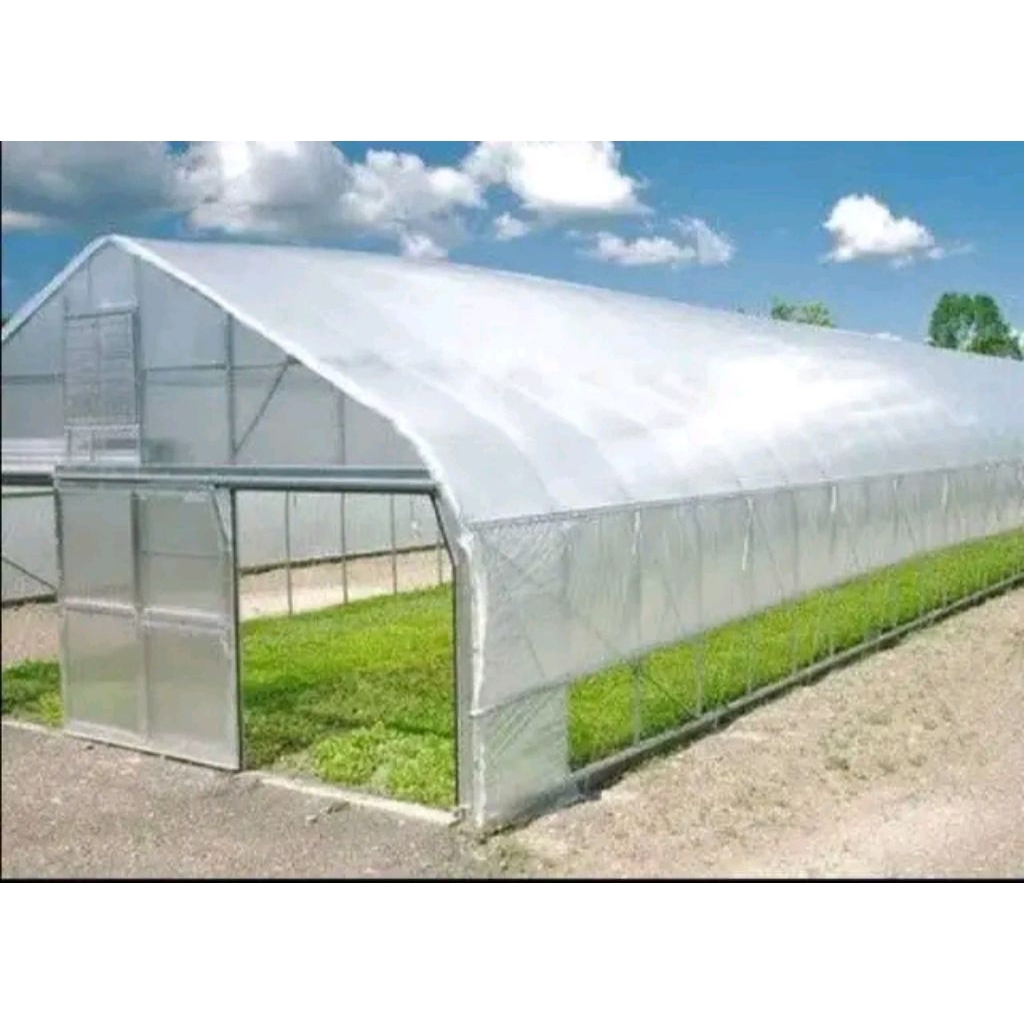 PLASTIK UV 300mickron UKURAN 7X8