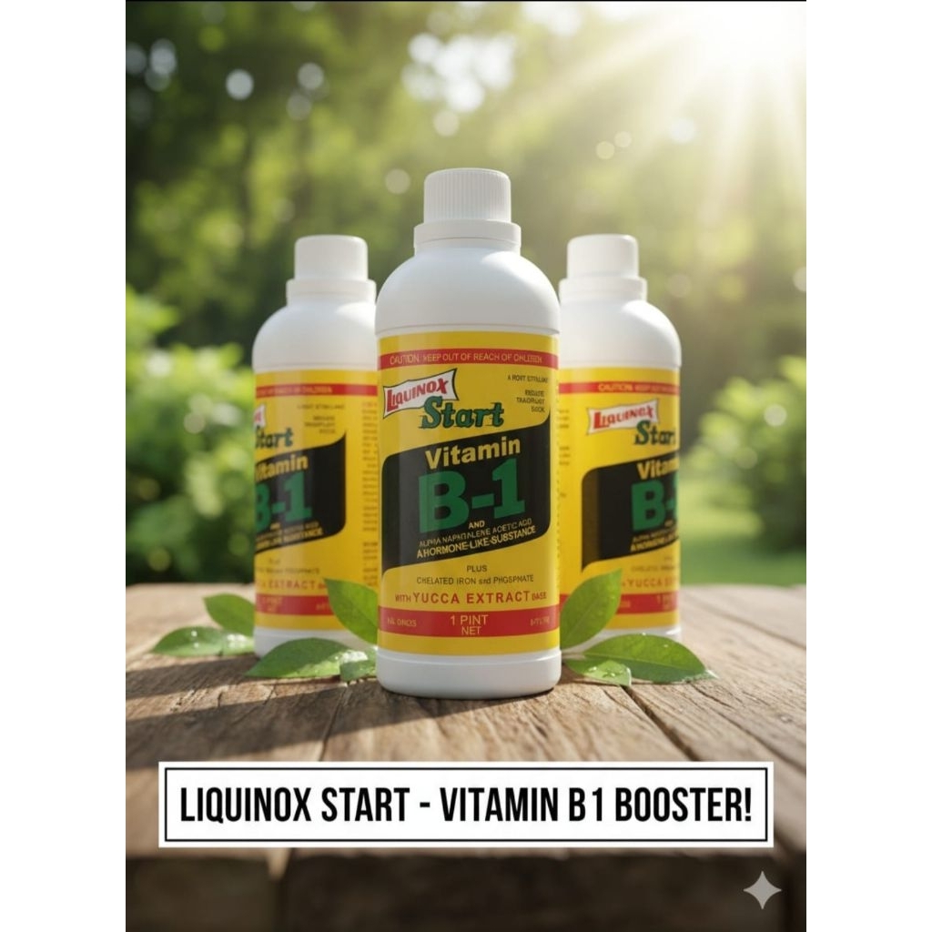 Pupuk VITAMIN B1 470 ml Hologram