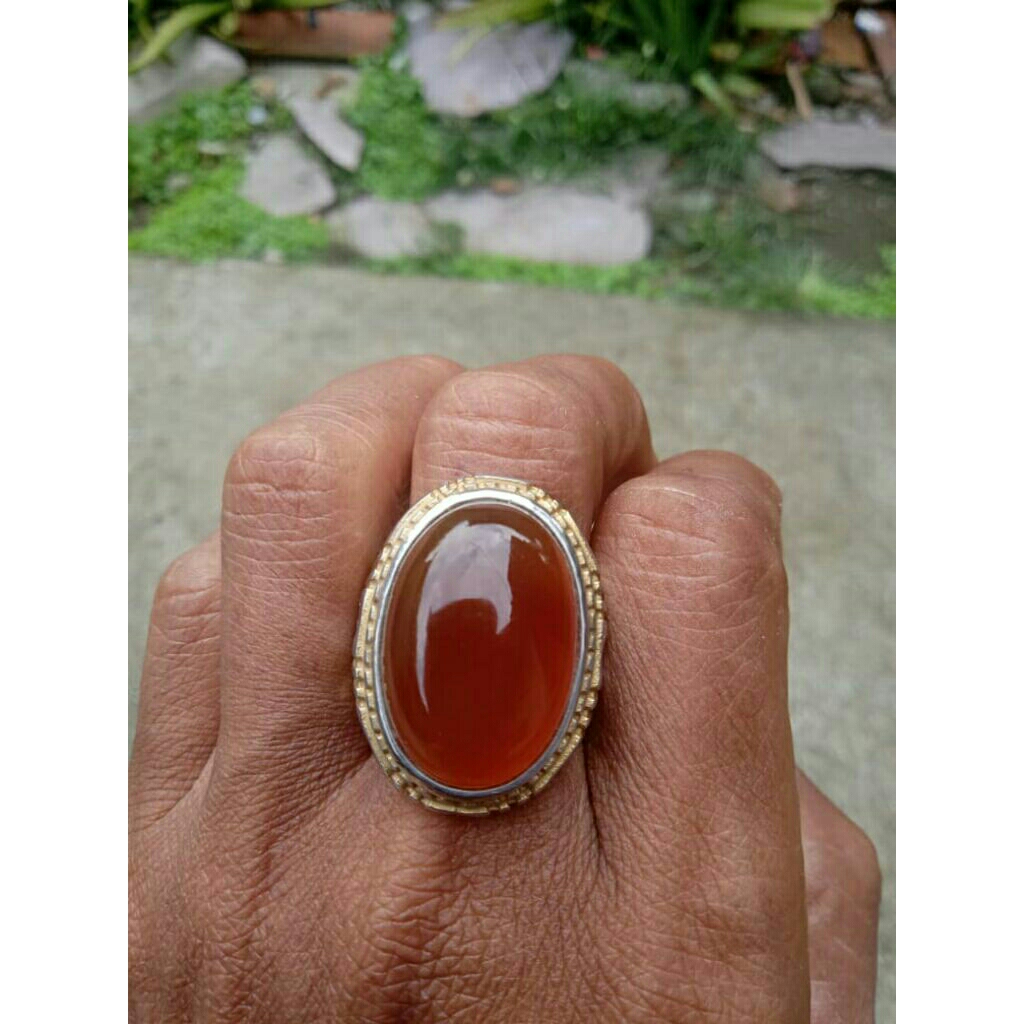 batu akik cempaka madu