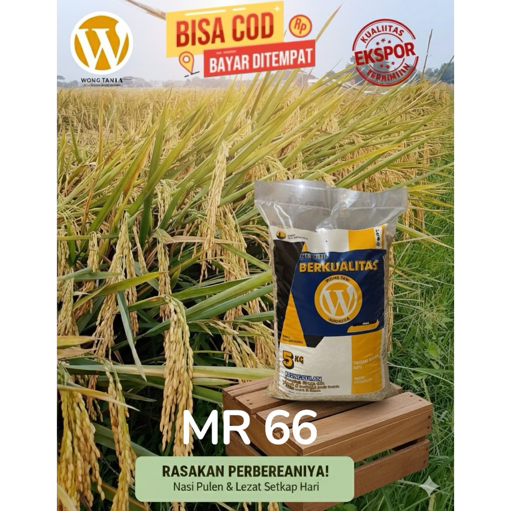 BENIH PADI UNGGUL MR 66 KEMASAN 5KG