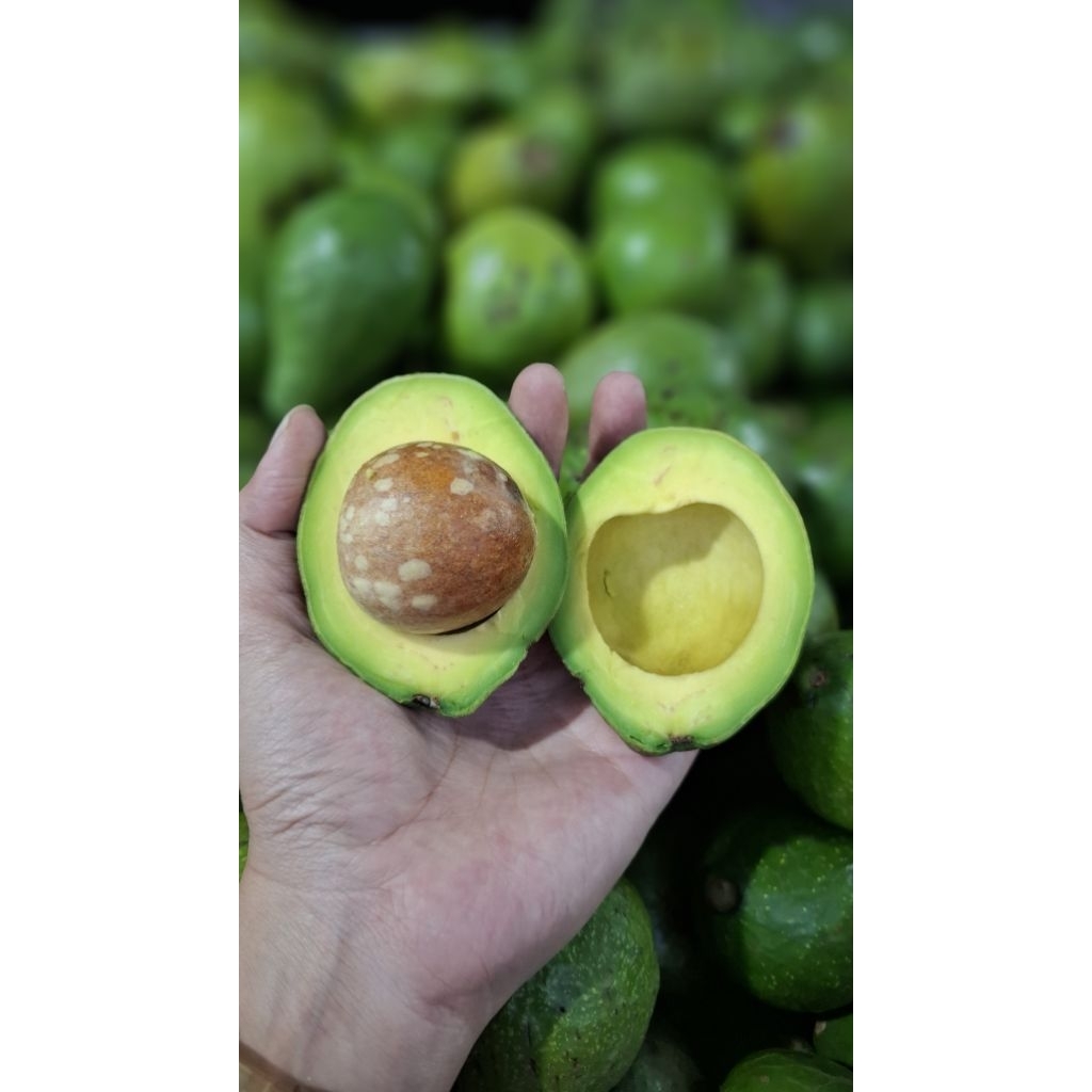 Alpukat Mentega 1kg Alpukat