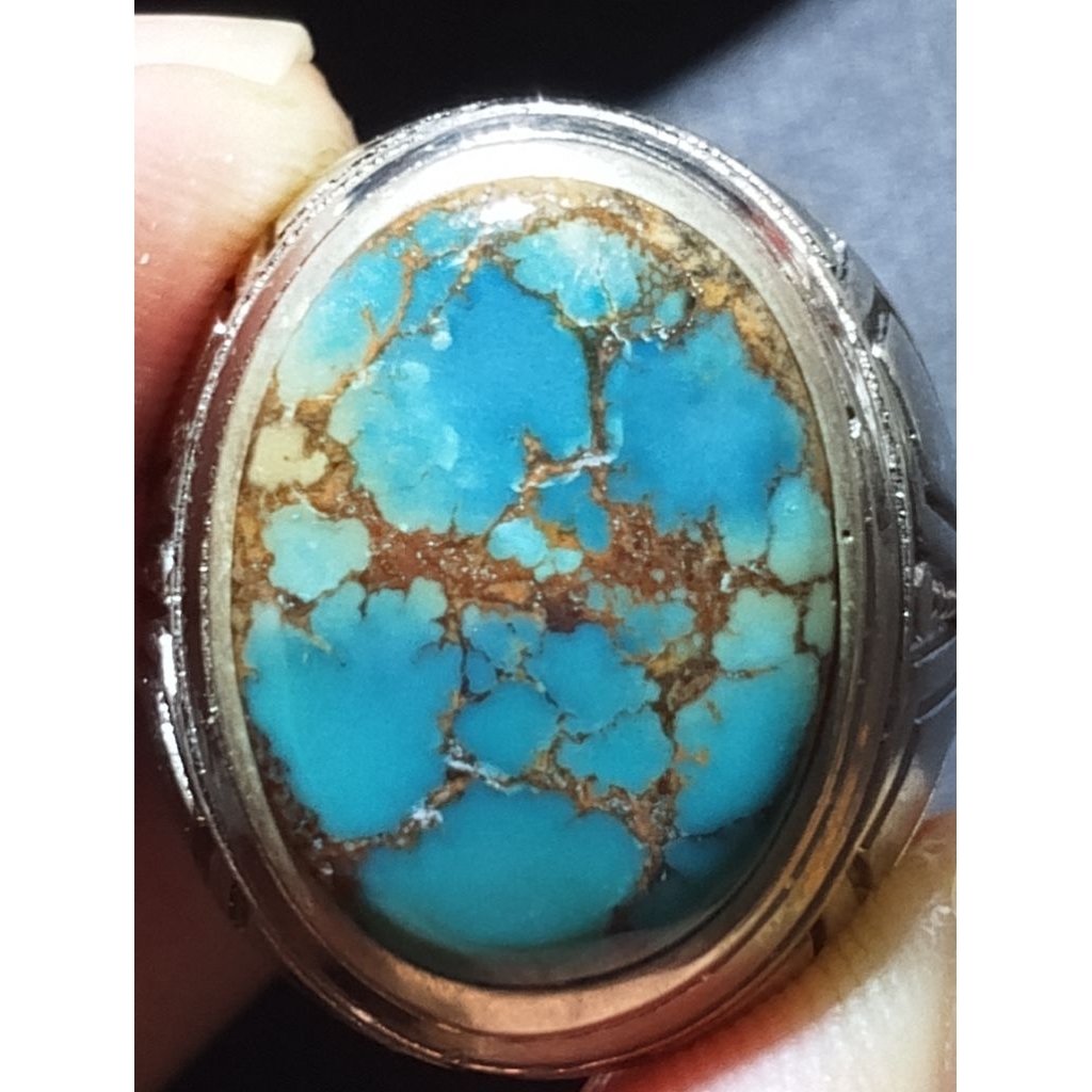 pirus Persia ceplok biru urat emas