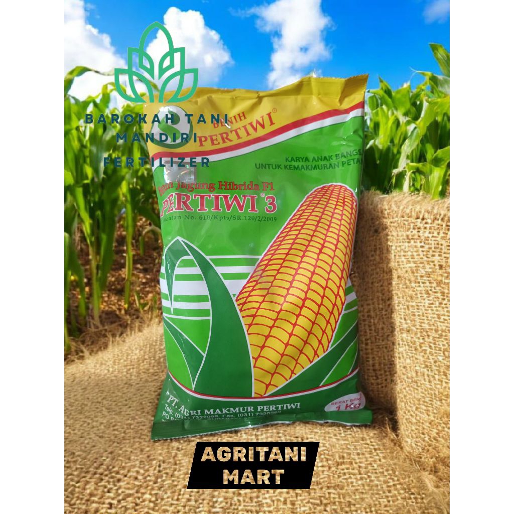 Benih jagung PERTIWI 3