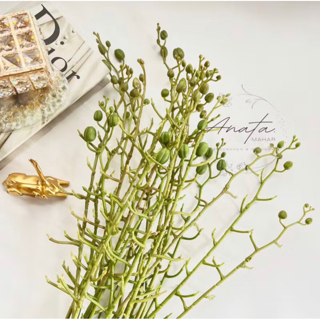 Tangkai anggrek 1 lusin/ tangkai anggrek K9 / tangkai bunga 12 biji / tangkai anggrek latex