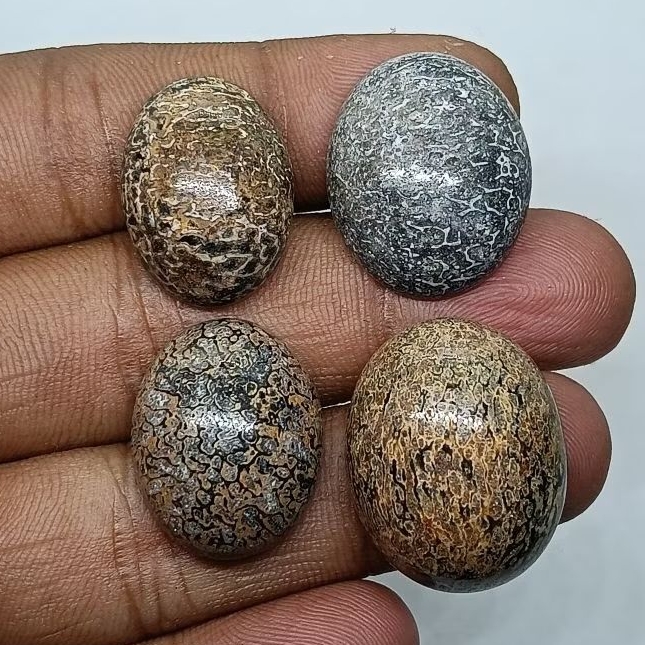 Original Batu Anti Wisa , Natural Cirebon