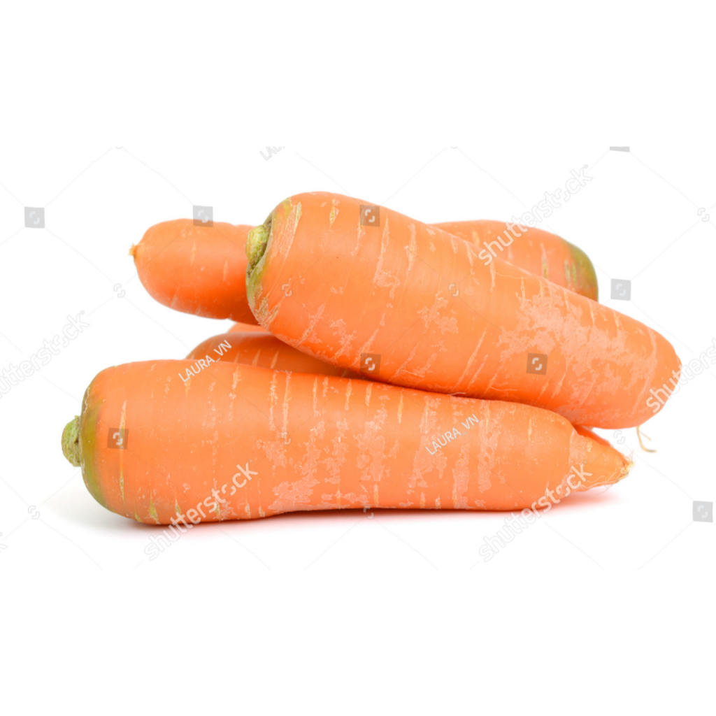 SUBUR BIBIT WORTEL BRASTAGI